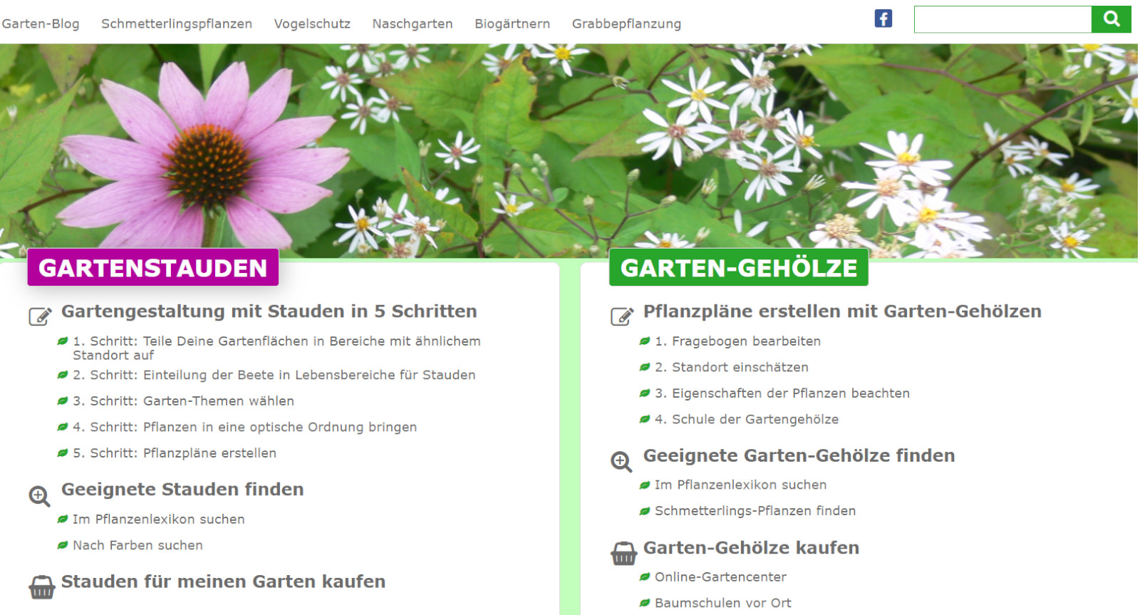 Webseite mit Datenbank über Gartenstauden und Baumschulpflanzen + Affiliate-Links